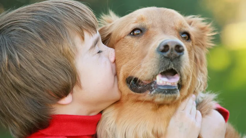 Criancas-e-pets-1 Férias em Família: 5 Dicas para Crianças e Pets Convivendo em Casa